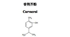 香荊芥酚對照品