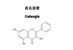 高良姜素對照品