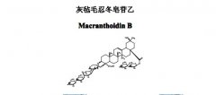 灰氈毛忍冬皂苷乙