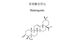 常春藤皂苷元對照品