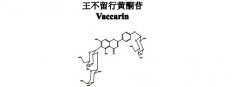 王不留行黃酮苷