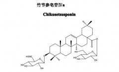 竹節參皂苷IVa對照品