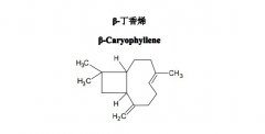 β-丁香烯對(duì)照品