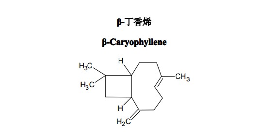 β-丁香烯中藥化學(xué)對(duì)照品