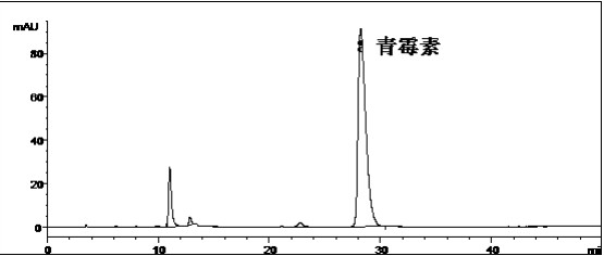 青霉素系統適用性對照品