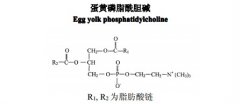 蛋黃磷脂酰膽堿