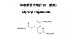 三棕櫚酸甘油酯（甘油三酸酯）
