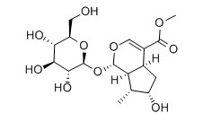 馬錢苷對(duì)照品