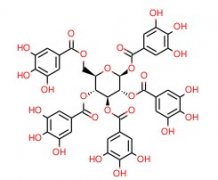1,2,3,4,6-O-五沒食子酰葡萄糖