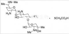 Gentamicin C1 Pentaacetate Salt