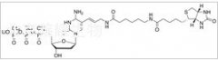 Biotin-11-dUTP標準品