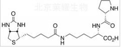 Biocytin-L-proline標準品