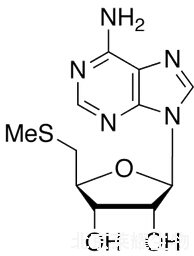 5ˊ-脫氧-5ˊ-甲硫基腺苷標(biāo)準(zhǔn)品