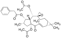 Euphorbiasteroid