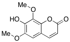Isoquercitroside