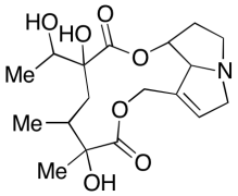 Jacoline