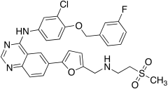 Lapatinib