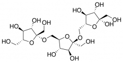 Levan - from Serratia Levanicum