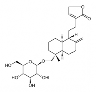 Neoandrographolide
