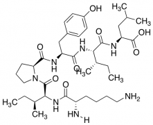 Neuromedin N