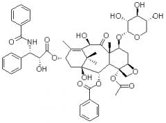 10-去乙酰-7-木糖紫杉醇對照品
