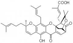 藤黃酸對(duì)照品