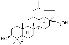 白樺脂醇（樺木醇）對照品