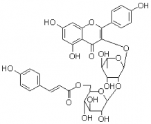 3-O-{2-O-[6-O-(對羥基-反-香豆酰)-葡萄糖基]-(1-2)鼠李糖基}山奈酚對照品