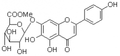 燈盞花乙素甲酯（野黃芩苷甲酯）對(duì)照品