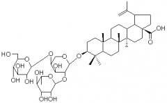 羽扇豆酸-3-[D-葡萄糖(1→4)[L-鼠李糖)(1→2)-L-阿拉伯糖苷]對照品