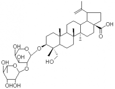 白頭翁皂苷A3（白頭翁皂甙A3）對照品