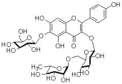 6-羥基山奈酚-3-O-蕓香糖-6-O-葡萄糖苷對(duì)照品